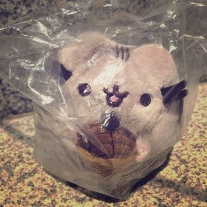 Fall ‘17 Pusheen Acorn Plush